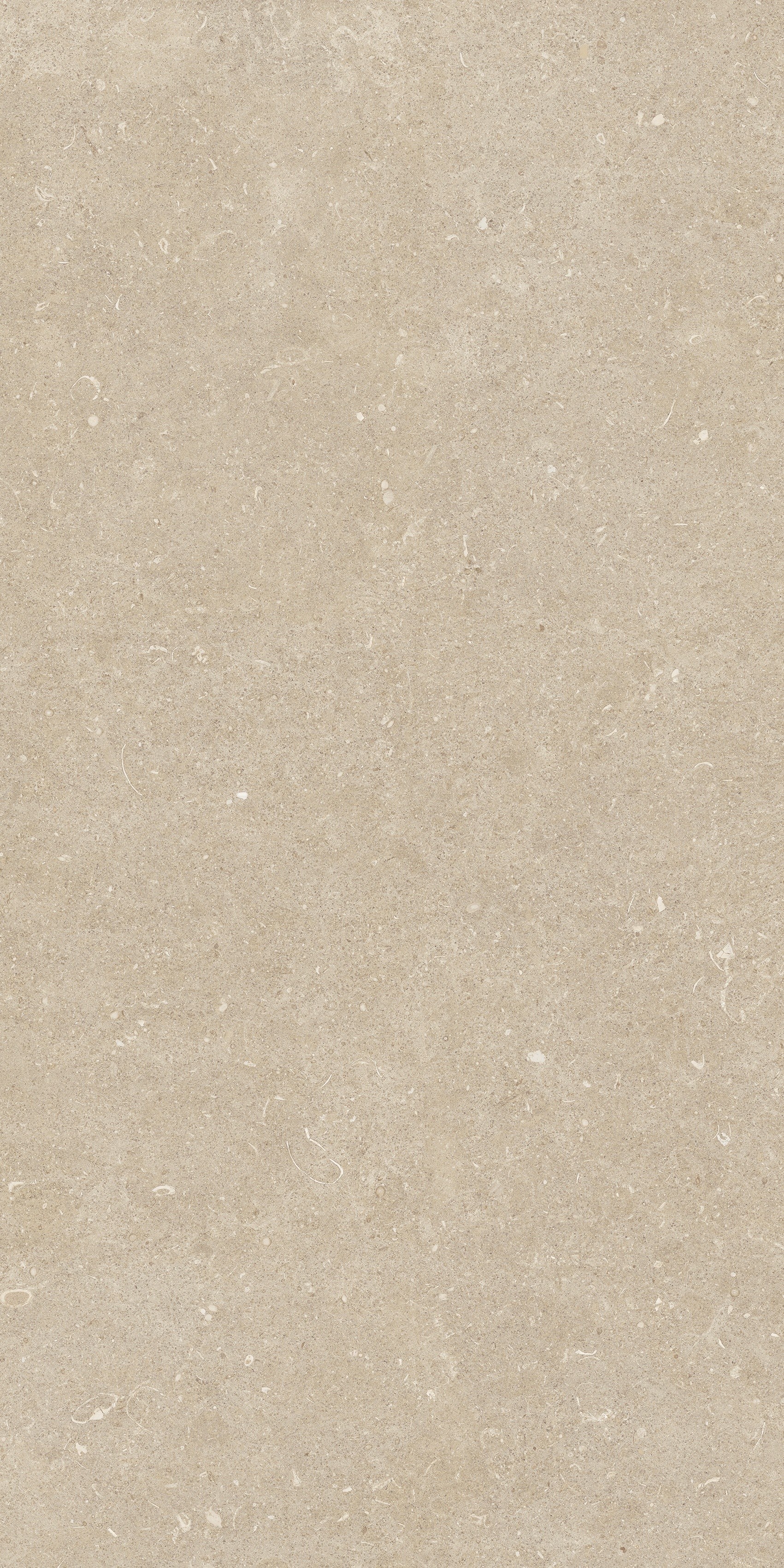 785493 Rinascenza Arena Conchiglia Grip 60x120 Casa Dolce Casa фото 10