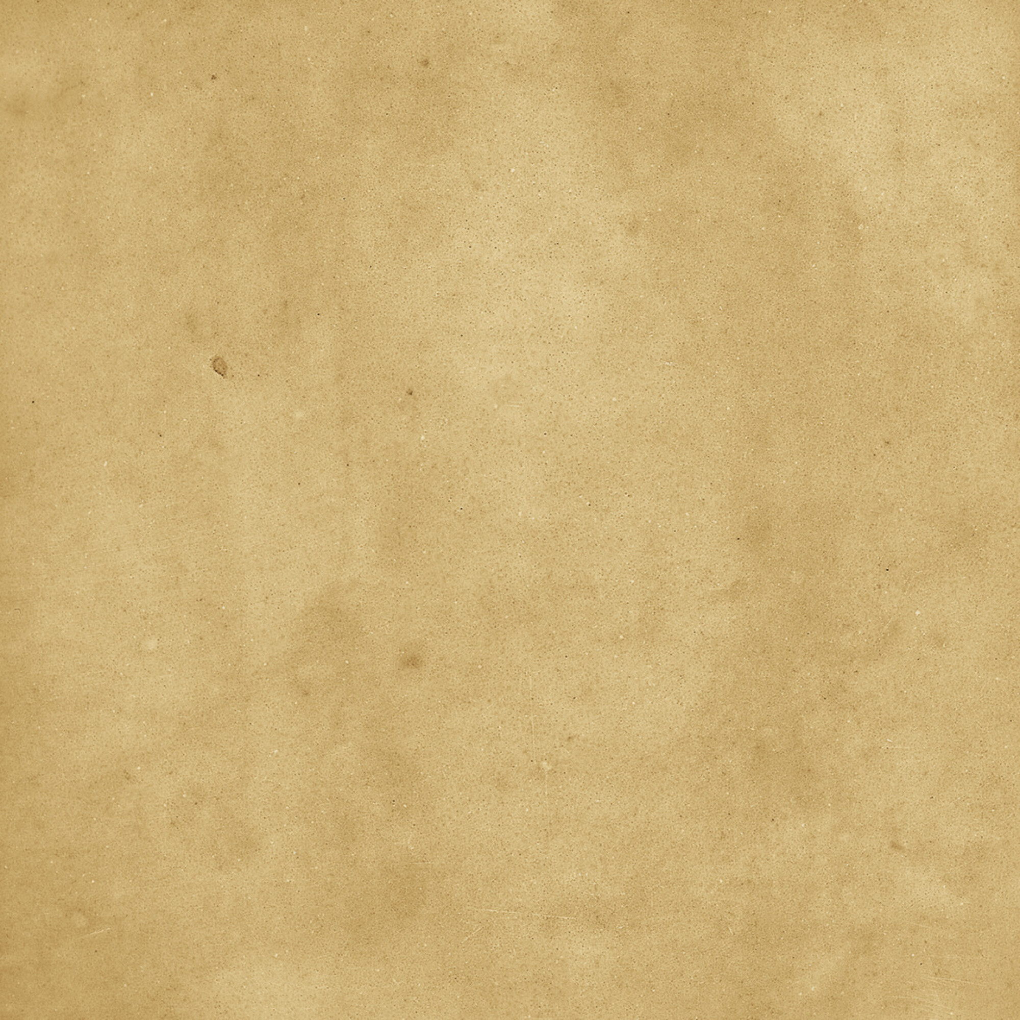 43288 Samira Gold 10x10 Harmony фото 36