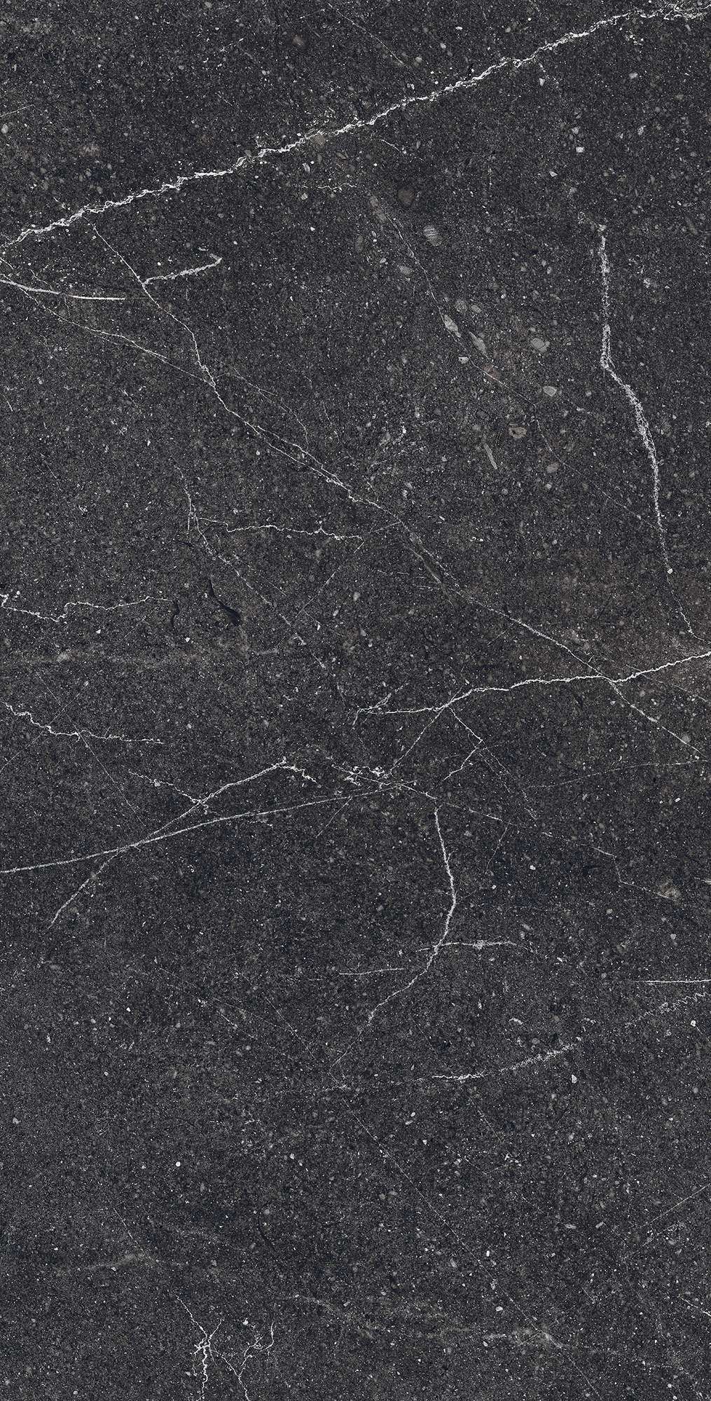 RG6003-A Equistone Charcoal Rotto Glossy Ink 60x120 Arcadia Ceramica