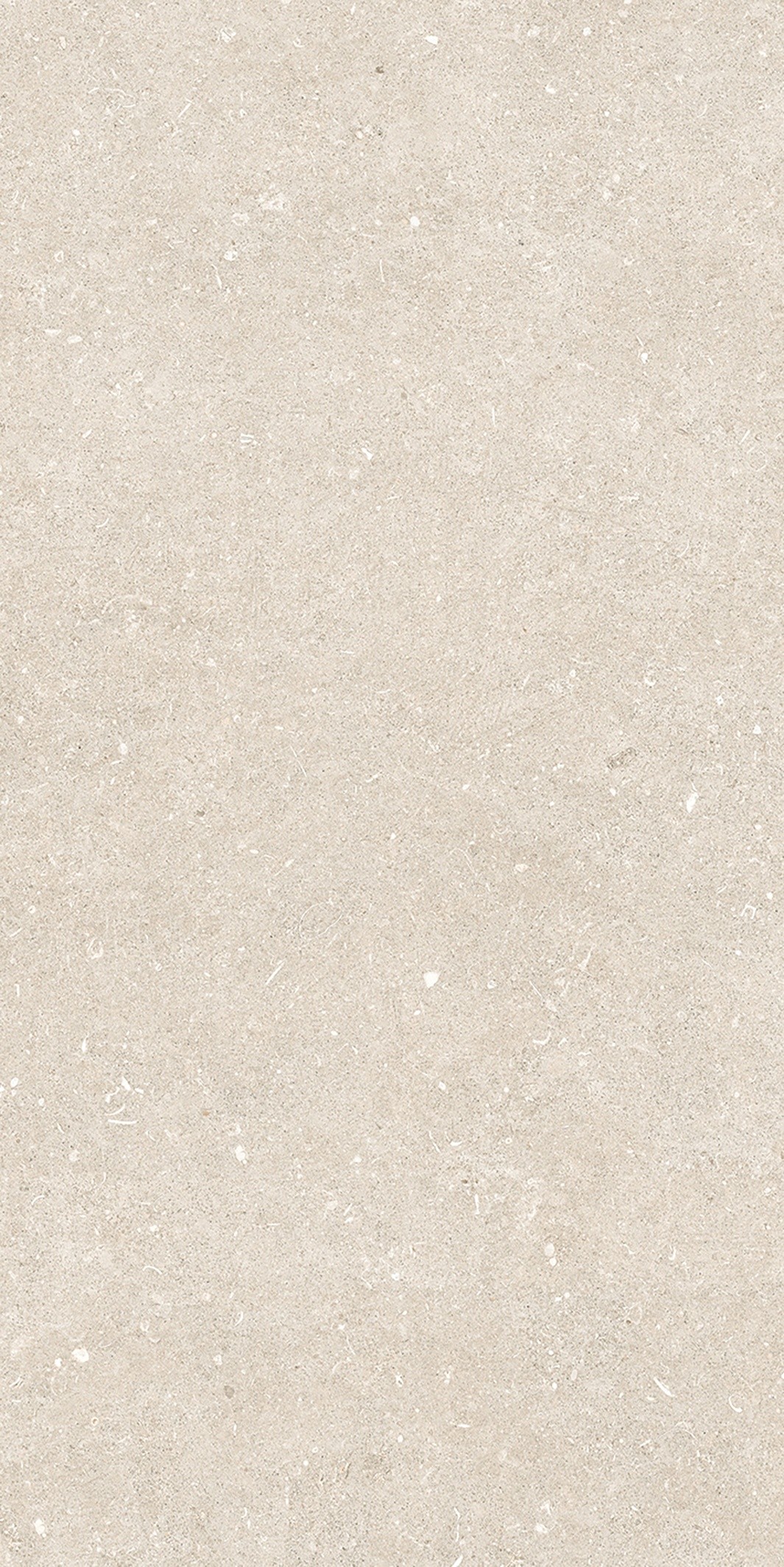 785574 Rinascenza Arena Bianco Antico Matte 6mm 60x120 Casa Dolce Casa фото 7