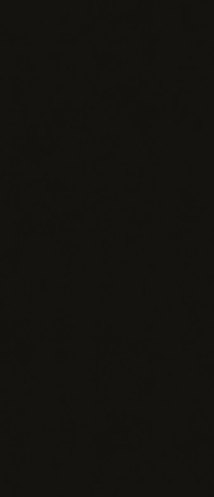 JS6031M (JC3015P) Putty Pure Black Matt 120x280 Janye Slab
