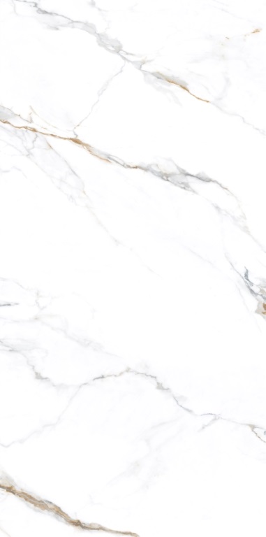 NTT3000M Carrara Gold Mat 120x240 NT Ceramic