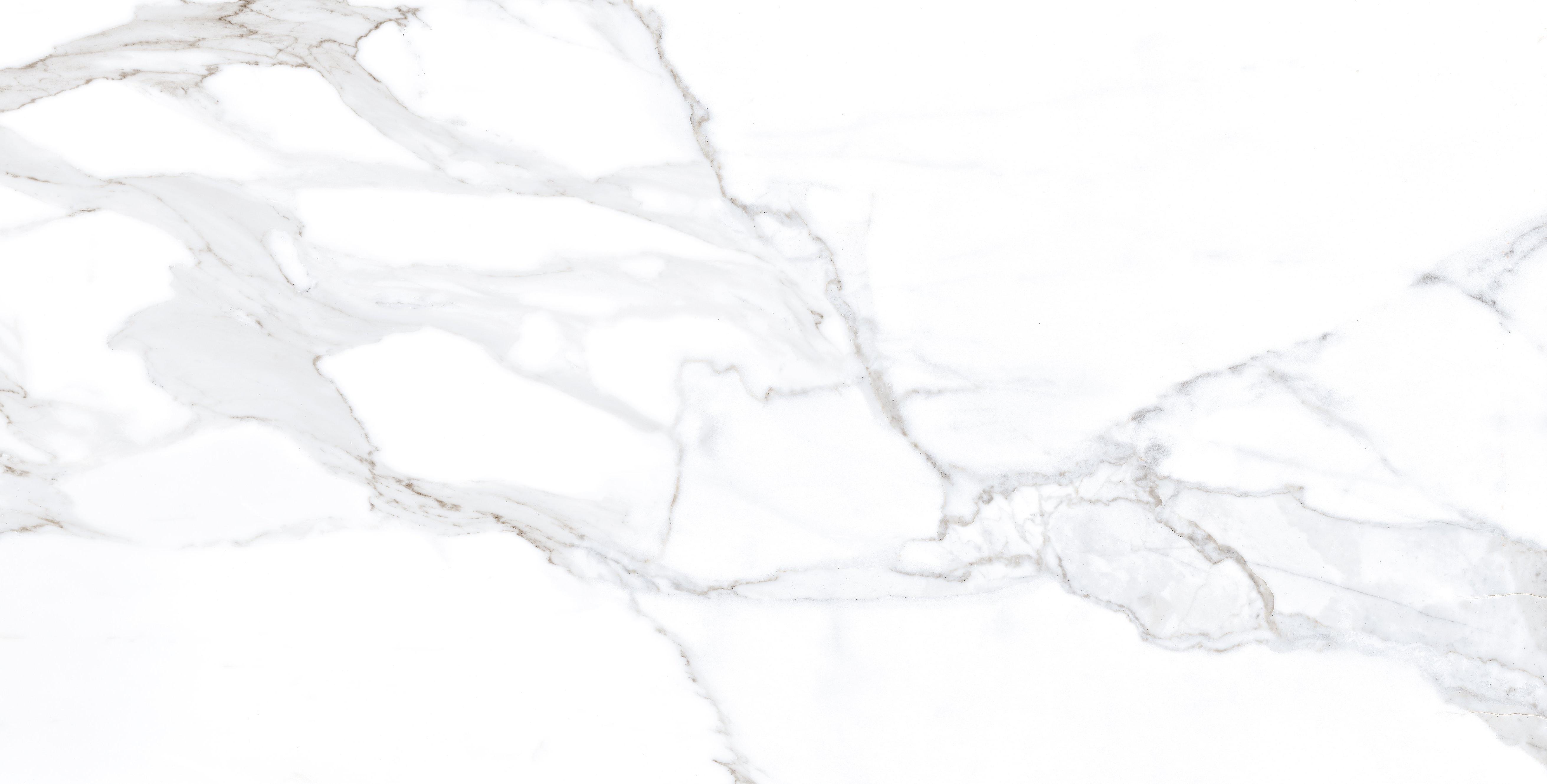Statuario Oro PGVT 60x120 Casati Ceramica