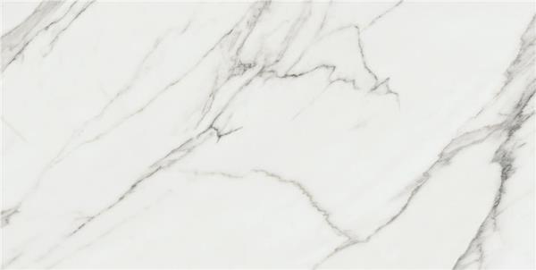 Aston White Rect. Pul 59x119 Keratile
