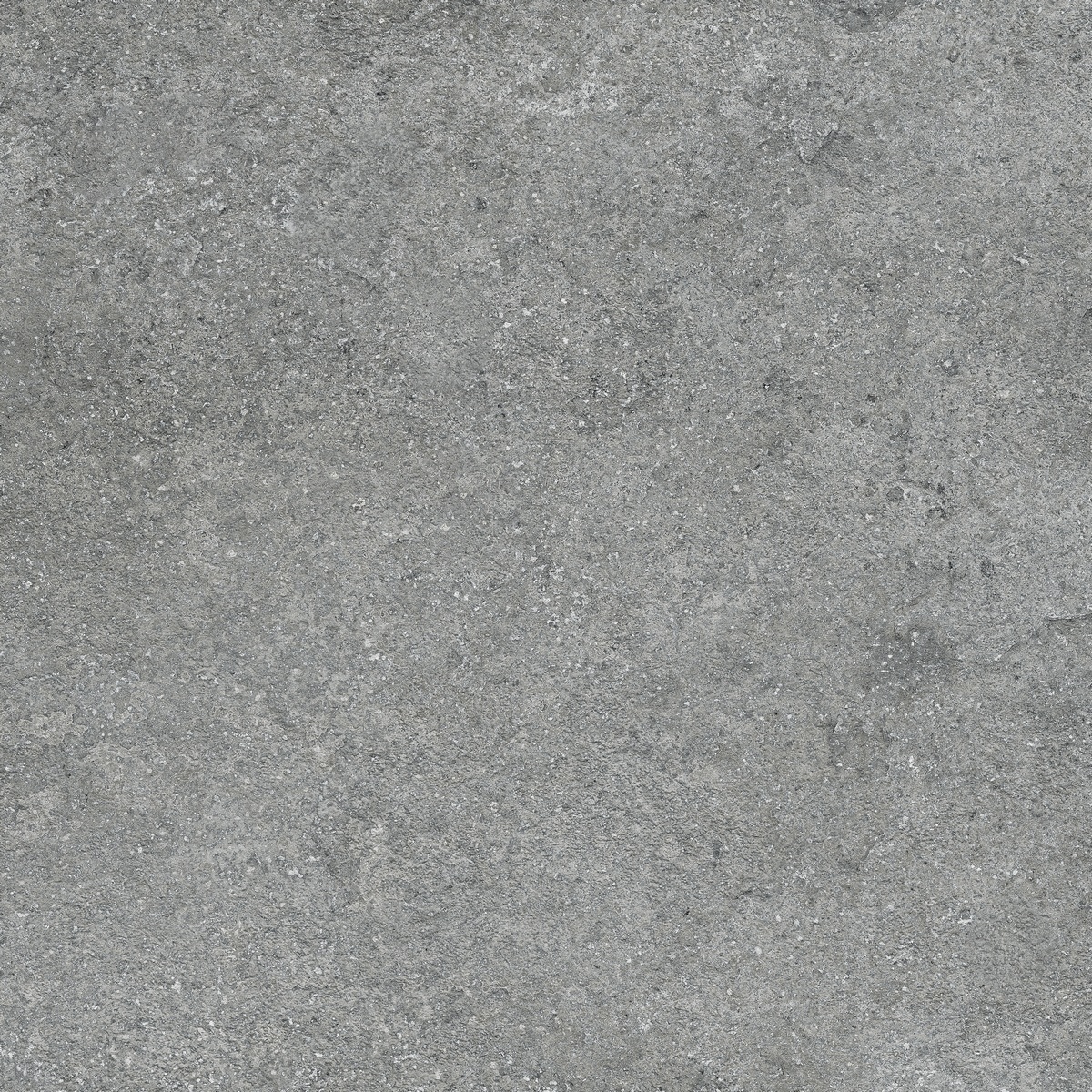 N120020 Мультиформат Кластик Грей Матовый 60x60 Neodom