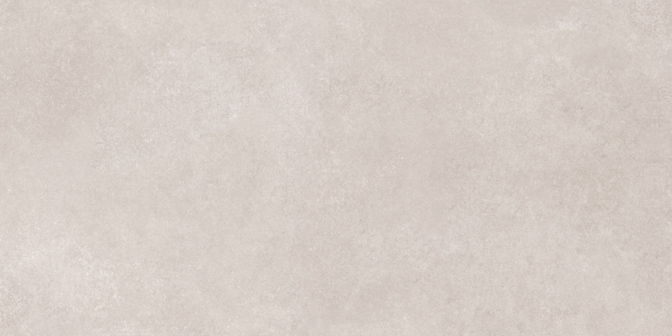 17533 Still светло-серый ректификат 60x120 Meissen