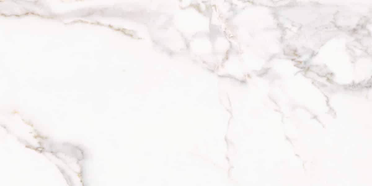 163105 CALACATTA ORO LAPP/RETT 60x120 Ava Ceramica