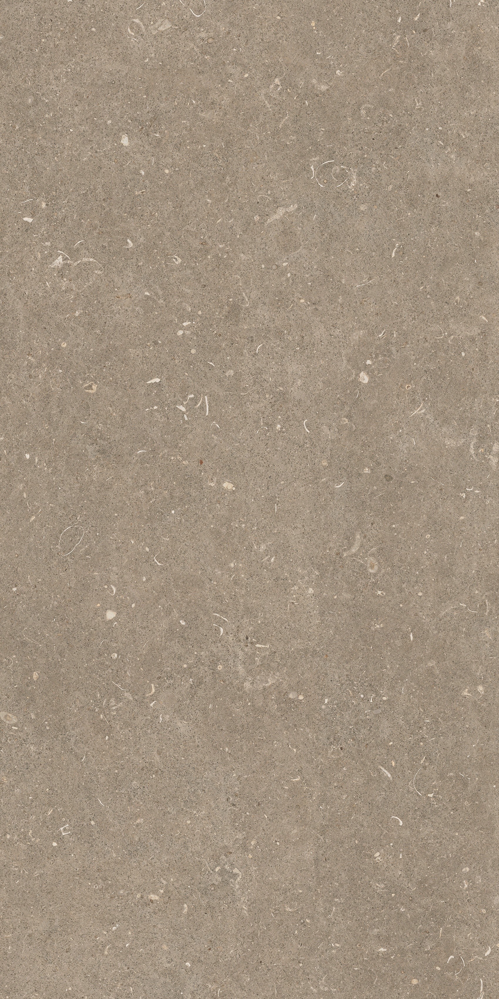 785482 Rinascenza Arena Pietra Matte 60x120 Casa Dolce Casa