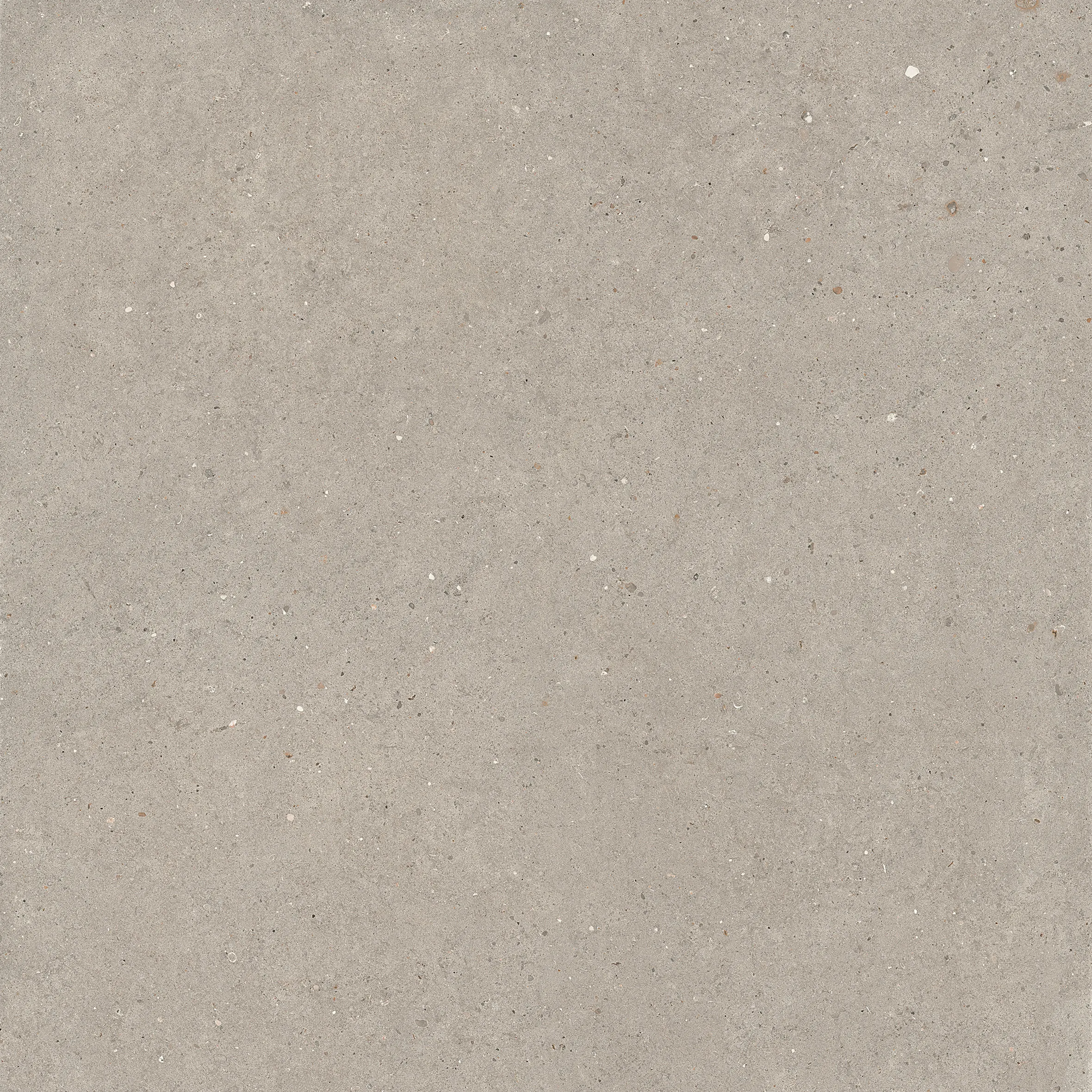 ARGENT6 120 120x120 La Faenza