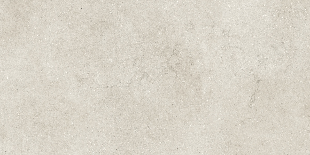N12049 Eden Light Satin 60x120 Neodom