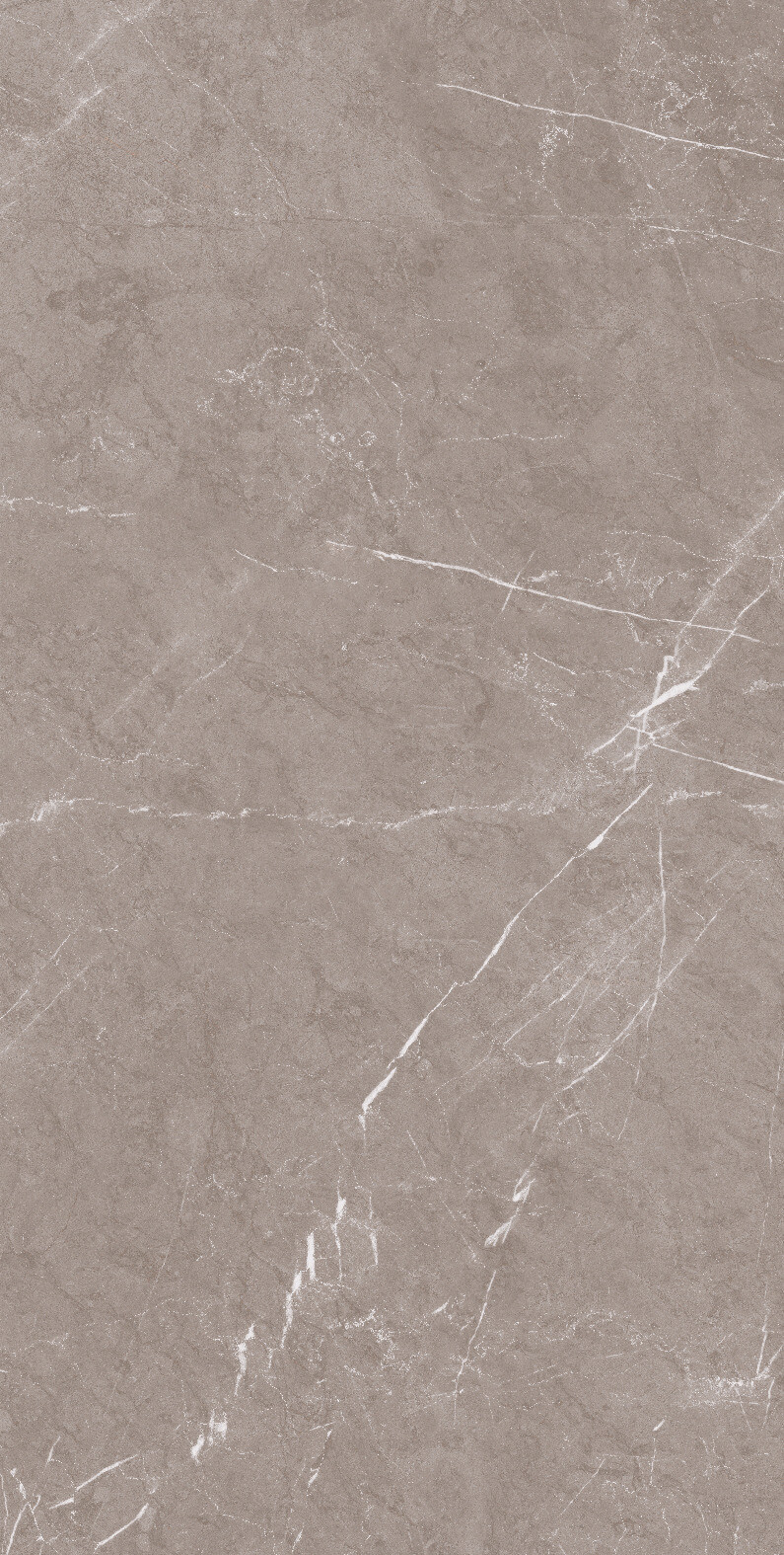 1070 Monte Taupe Carv 120x60 Artcer