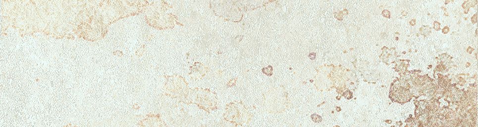 Айдахо 3 бежевый 245x65 Керамин фото 9