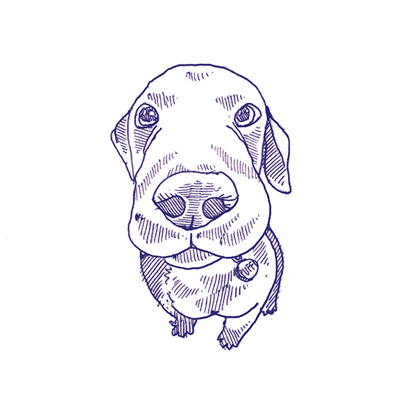 4101303 Stories Eddie Matte 10x10 41ZERO42