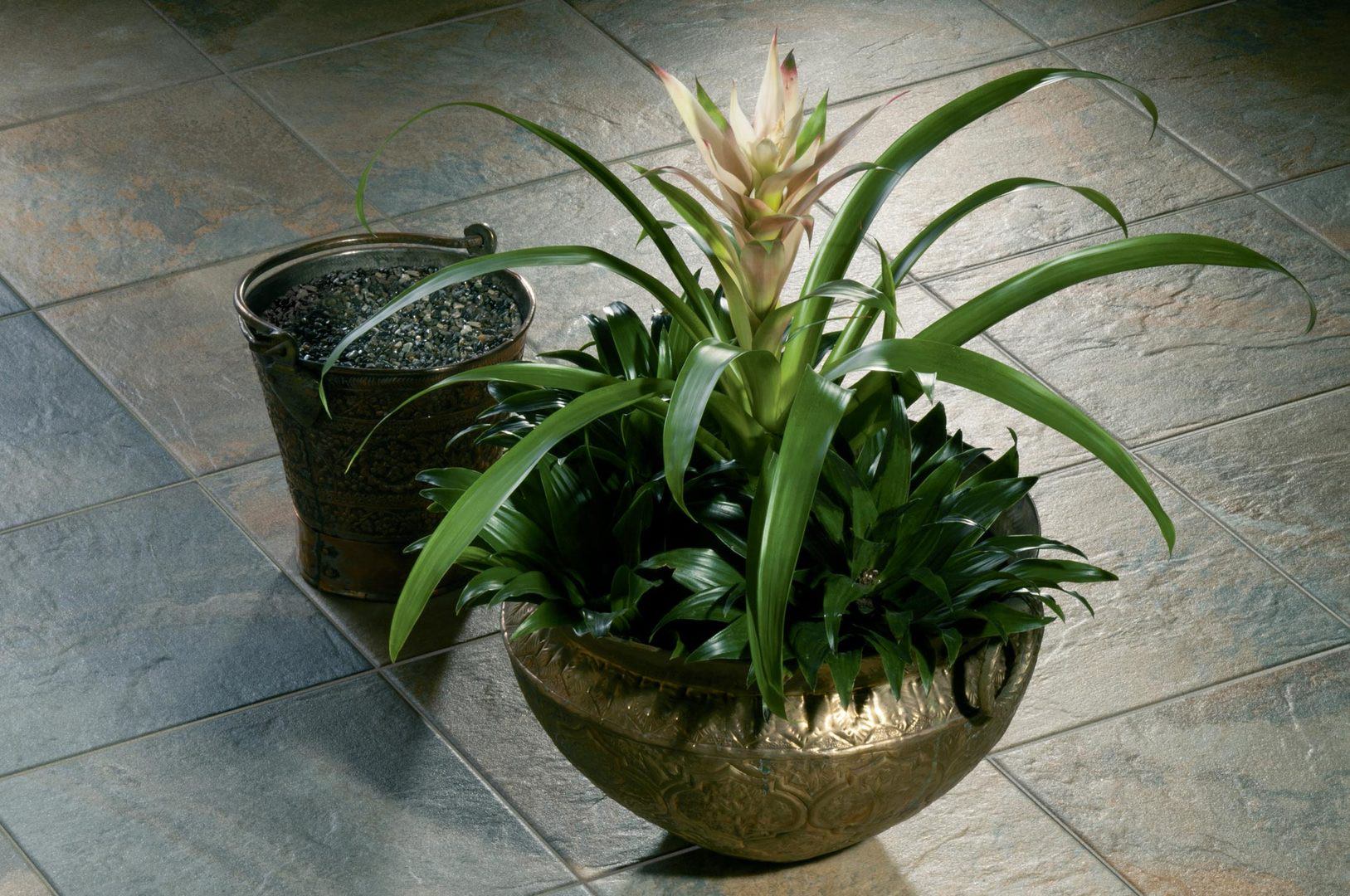 Сланец Kerama Marazzi