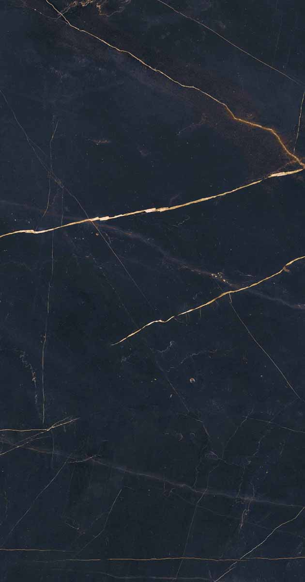 PF60011003 Precious Black Lux Ret 60x120 ABK