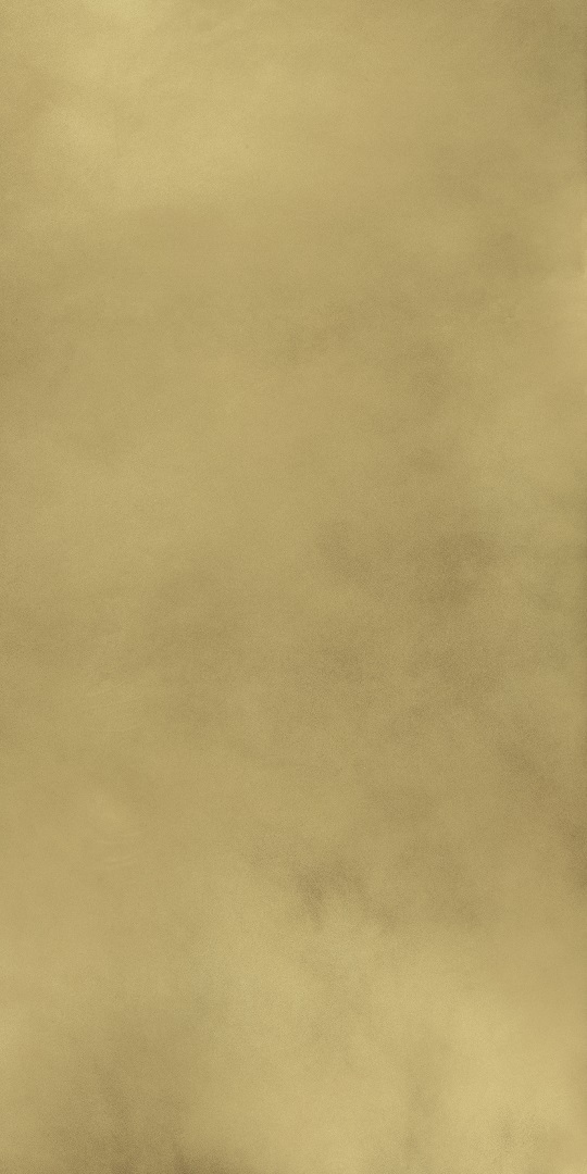 610015000645 Continuum Brass Gold Lap 80x160 Italon