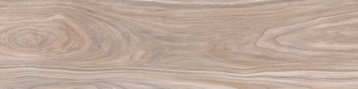 WD11 Forest Gold terra 20x80 PrimaVera
