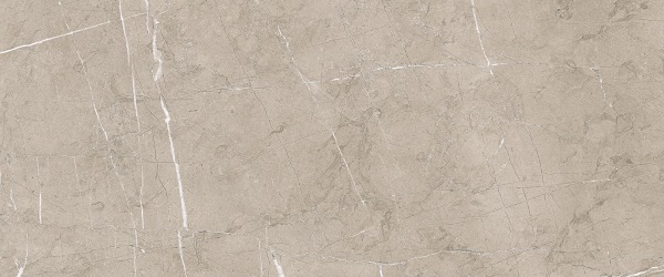 8215 Vision 33.3x80 Porcelanite Dos