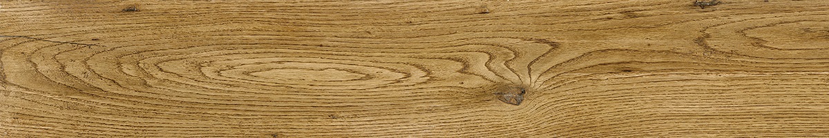 181653 Silvis Larice ret R10 20x120 Sichenia