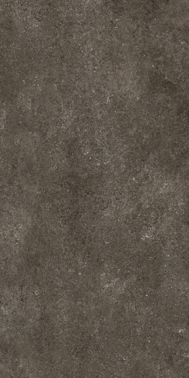 768585 Sensi Brown Fossil Nat Ret 6mm 120x240 Casa Dolce Casa