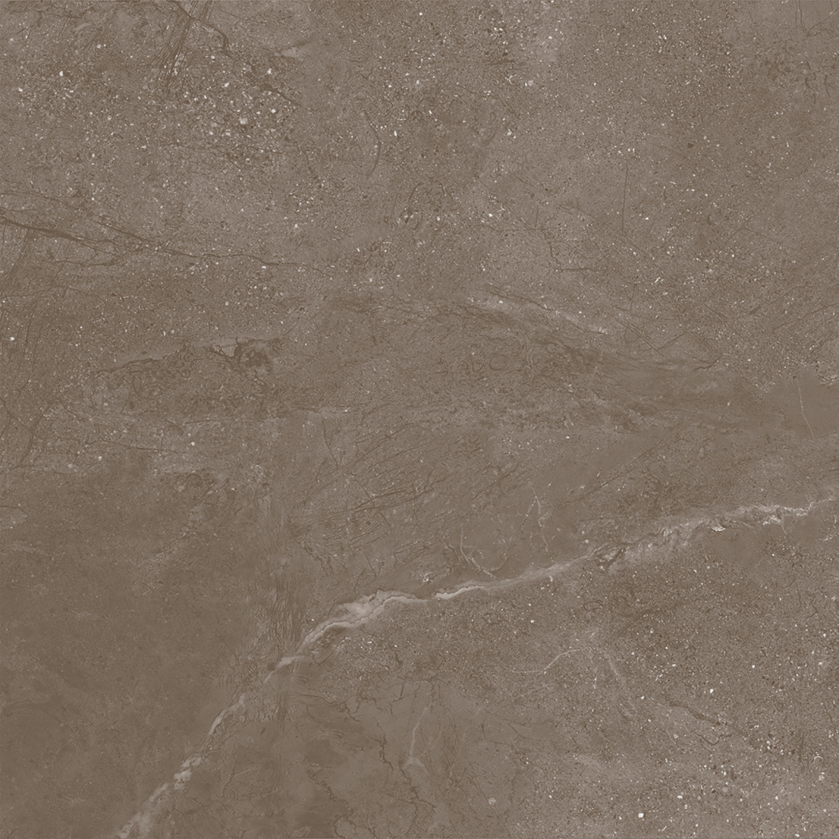 Нобл Мокка ПРО коричневый матовый R11/A Бархат 60х60 Laparet фото 2