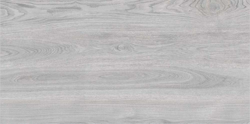 Ariana Wood Grey Carving 60x120 ITC