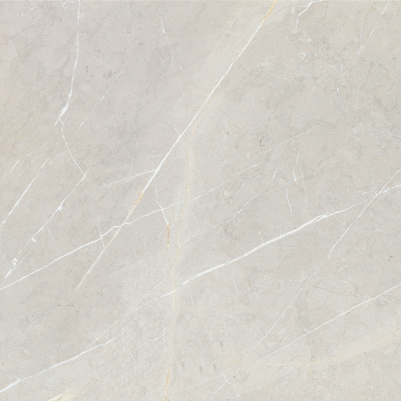 BB6NTT9101P Bright And Shiny 60x60 NT Ceramic