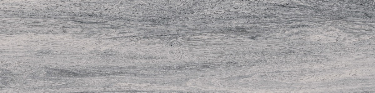WD02 Taiga Grey 20x80 PrimaVera
