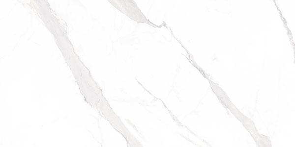 Statuary Blanco Leviglass 60x120 Geotiles