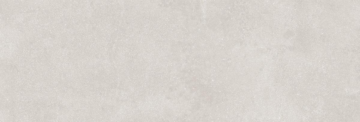 Delf Cenere Rectificado 33.3x100 Baldocer