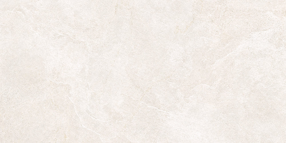 231964 North Slate White 59.5x119.2 ProConcept