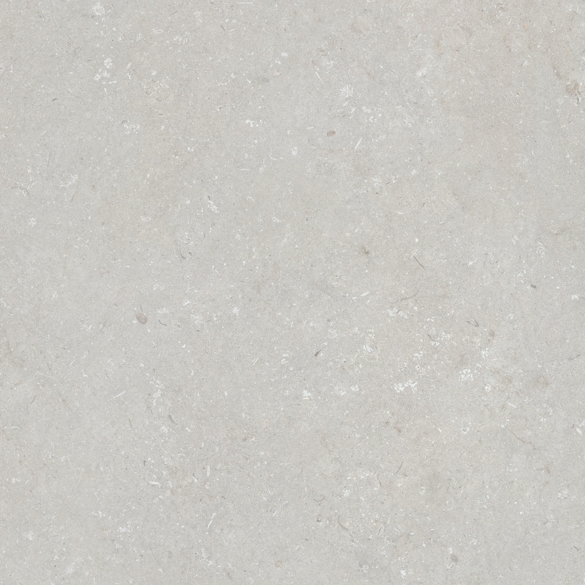 005847 Shellstone Bianco 120x120 Dado Ceramica