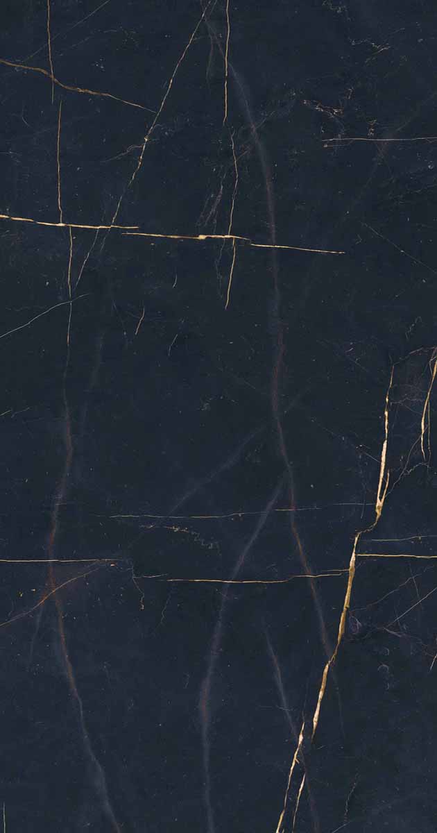 PF60011003 Precious Black Lux Ret 60x120 ABK