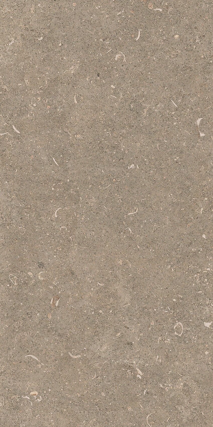 785490 Rinascenza Arena Pietra Matte 30x60 Casa Dolce Casa фото 4