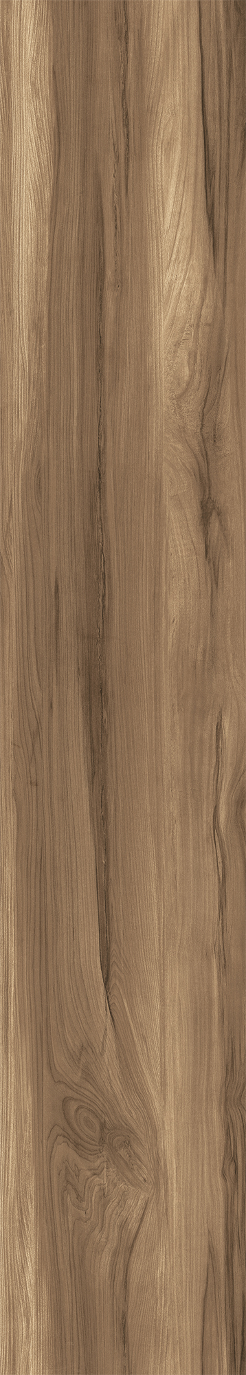 CW-RT10-B Fossil Wood Wenge Rustic 20x120 Creanza