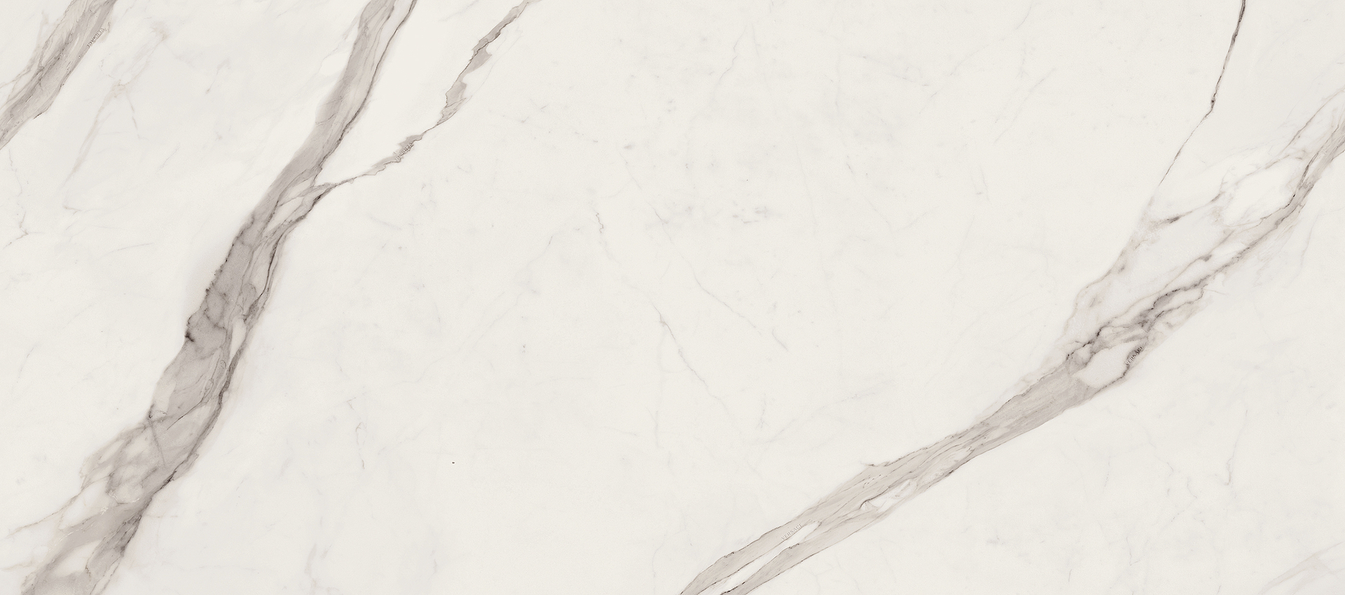 G67500 Statuario White Lux R 120x280 Versace (Gardenia Orchidea) фото 3