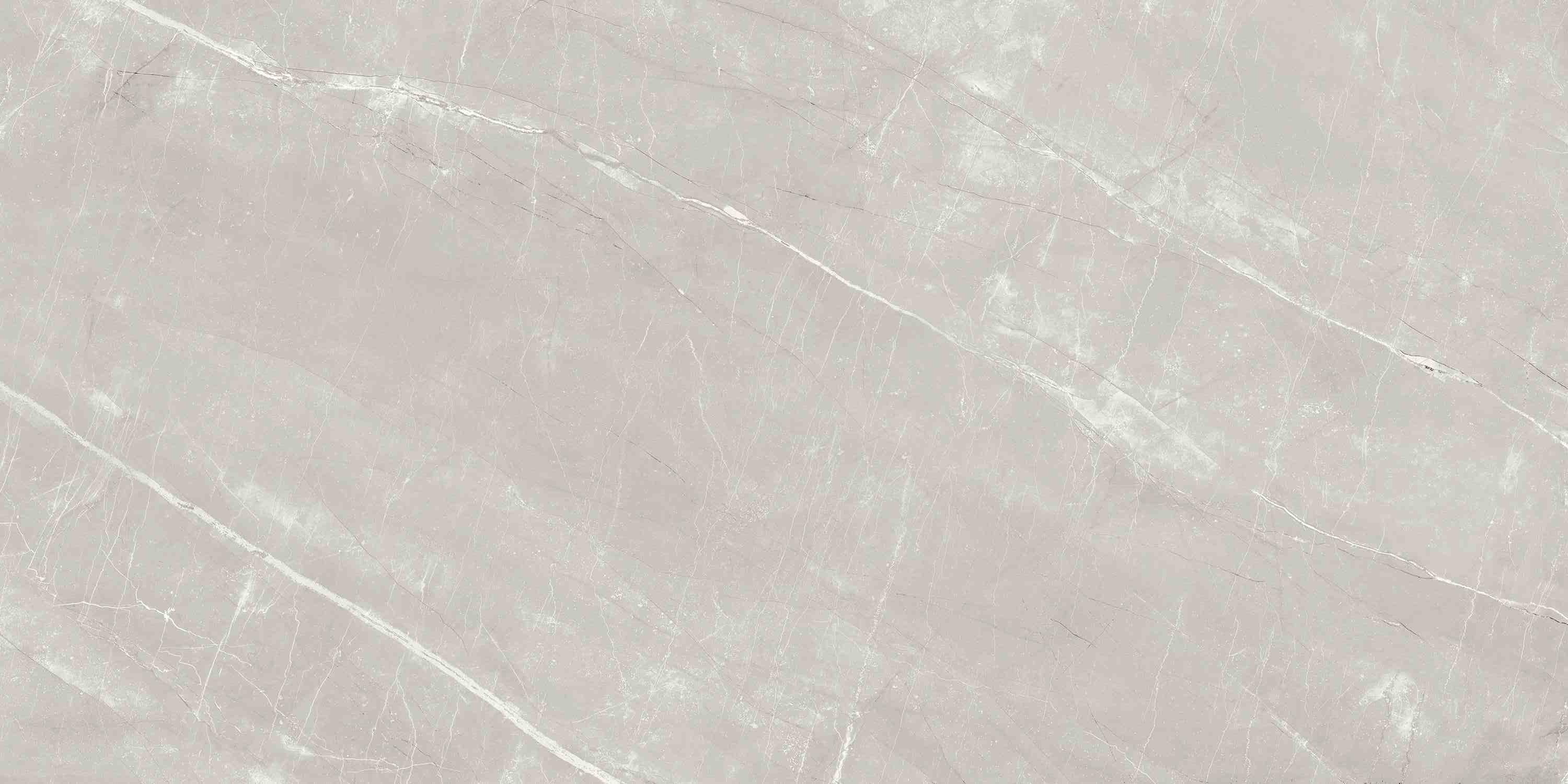 ENSTN7004MT60120 Alaska Grey Matt 60x120 Ennface фото 9