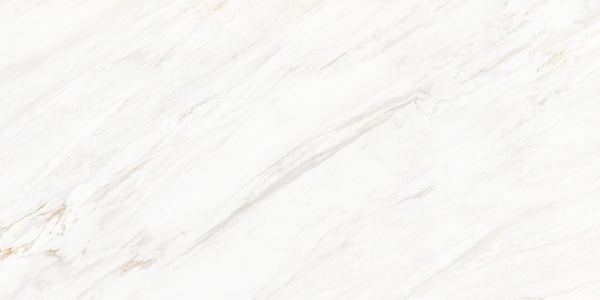 2601 Venato Soft Polished 60x120 Leopard