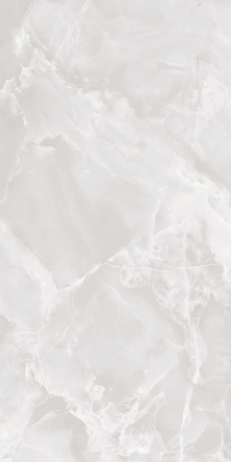 GT1206010703PR Favorito Белый 60x120 Global Tile фото 2