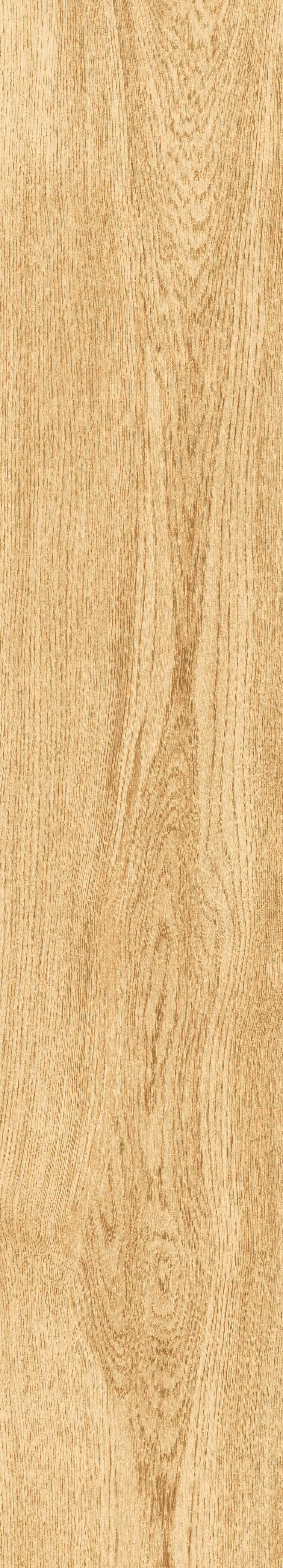 1064 Parma Honey Mate 120x20 Artcer