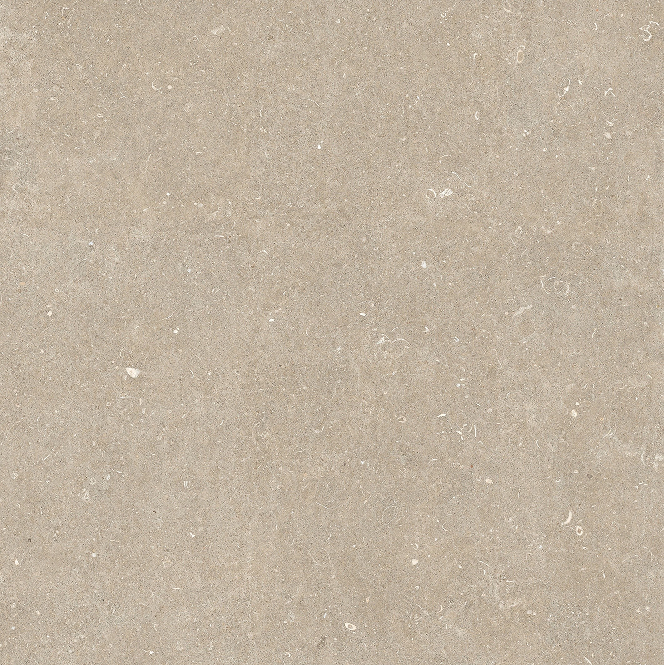 785579 Rinascenza Arena Conchiglia Matte 6mm 120x120 Casa Dolce Casa фото 4