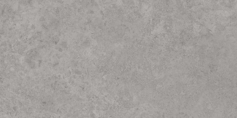 AVS-108 Antica Grey Lappato 600x1200 AVS фото 2