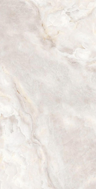 Onyx Clanton Rex pol. 60x120 Saans фото 2