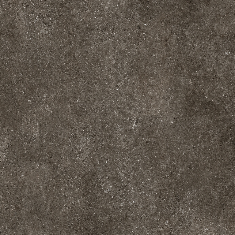 768560 Sensi Brown Fossil Nat Ret 6mm 120x120 Casa Dolce Casa