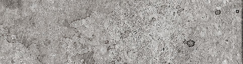 Айдахо 2 серый 245x65 Керамин фото 7