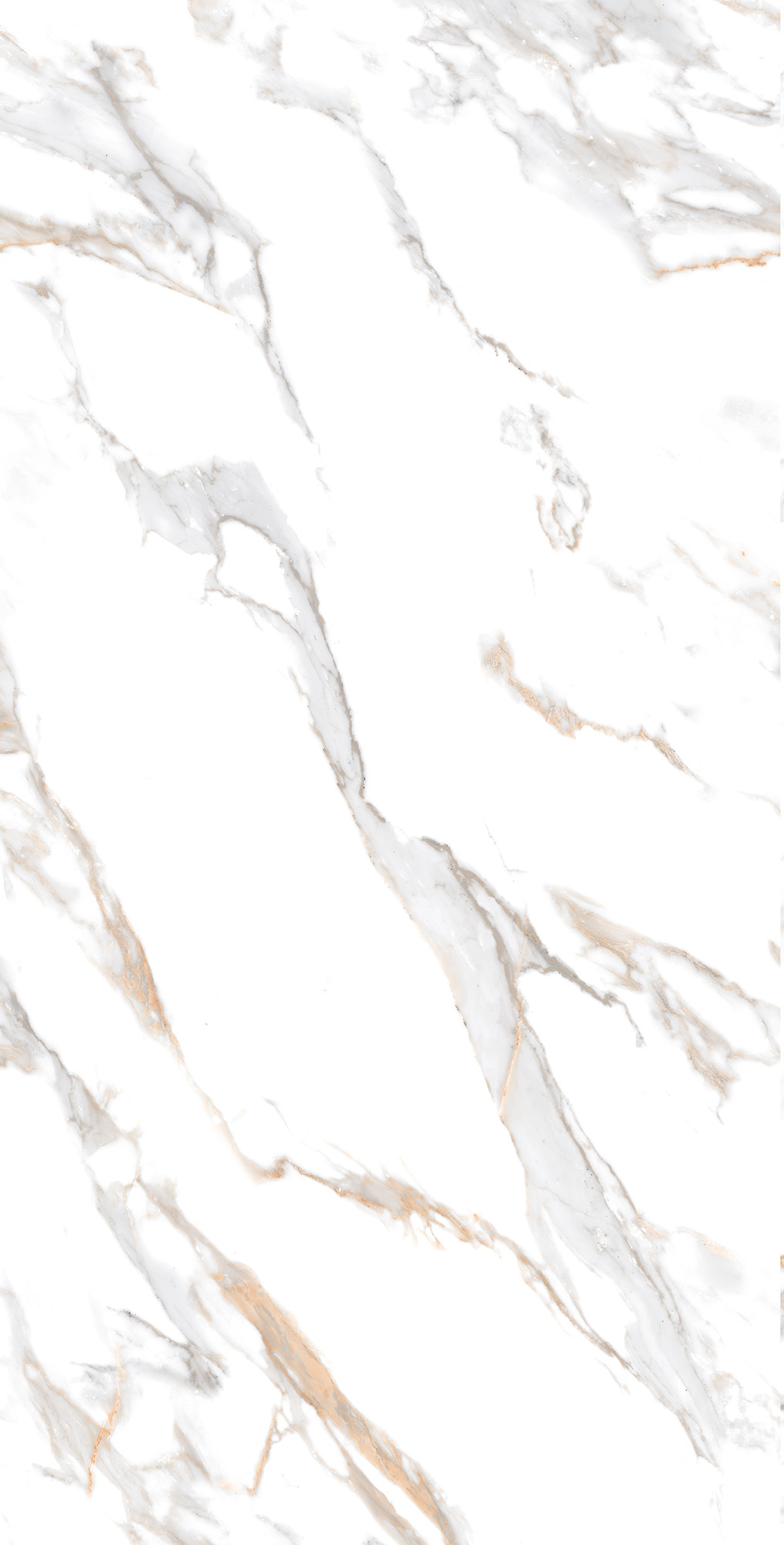 CR4019-A Calacatta Gold Carving 60x120 Arcadia Ceramica