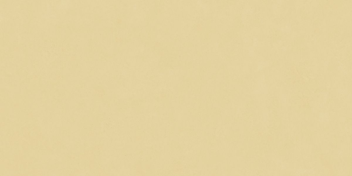 N12037 Blossom Sun Matt 60x120 Neodom
