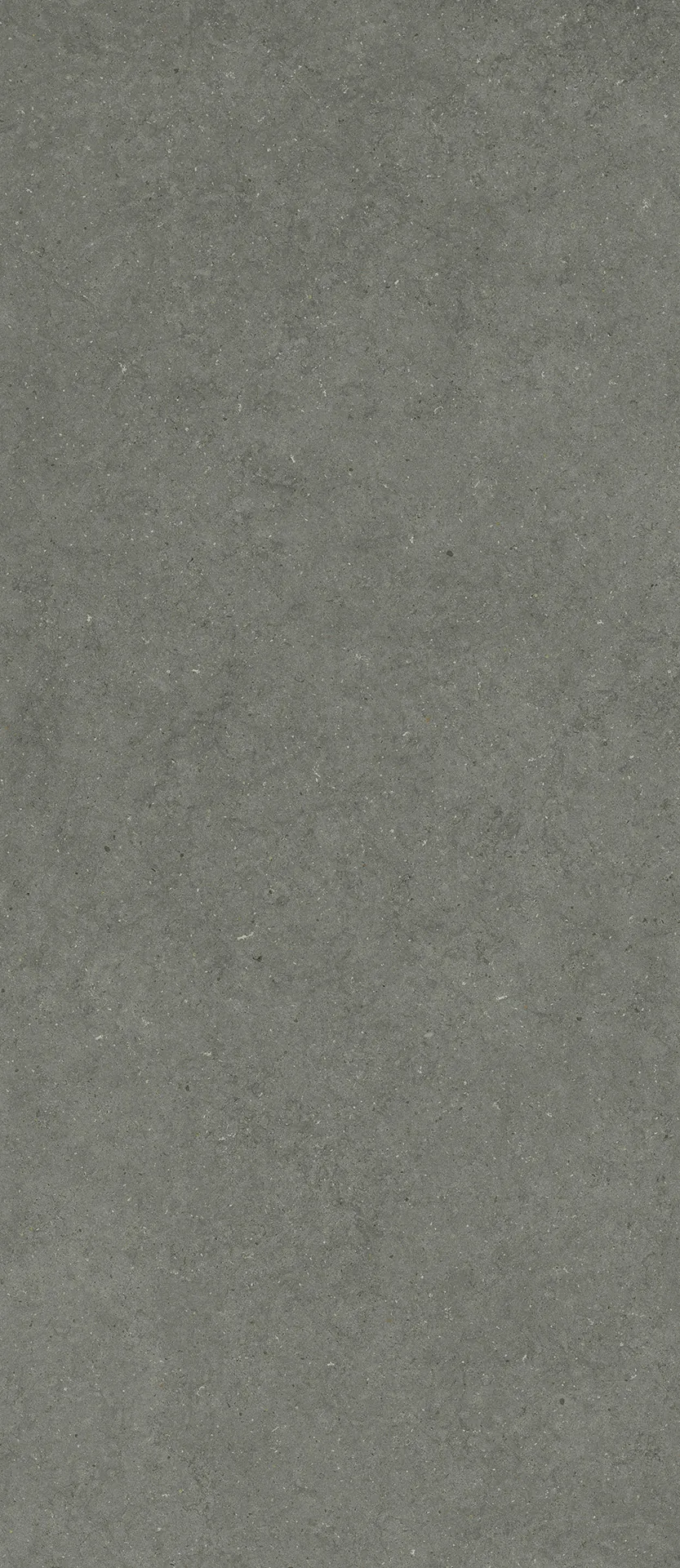 600180000083 Forum Stone Iron 120x278 Italon