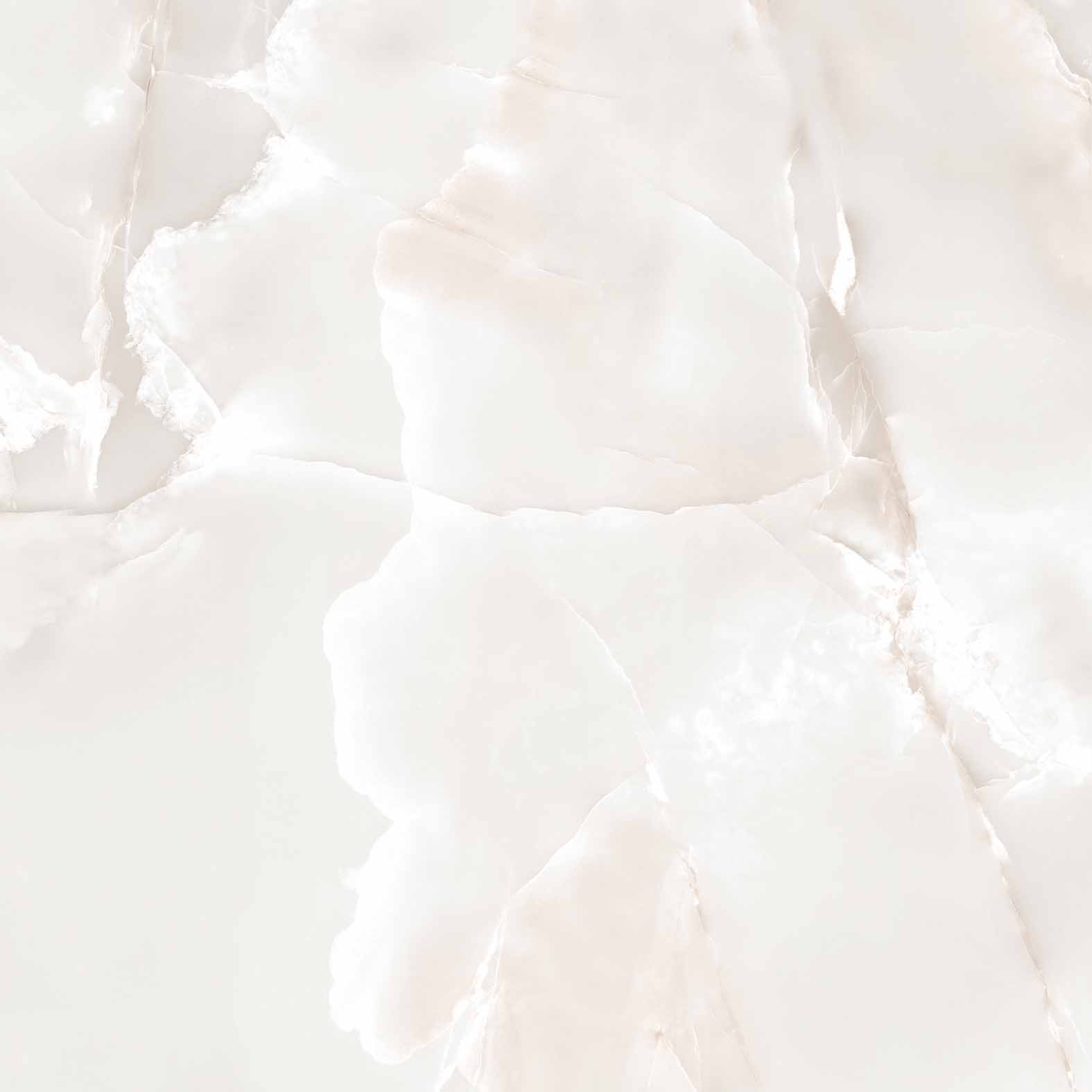 RT6005-A Primo Onyx Grey Matt Rustic 60x60 Arcadia Ceramica фото 8