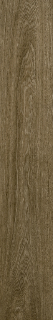 610010003504 Ducale Pepper Ret 20х120 ColiseumGres